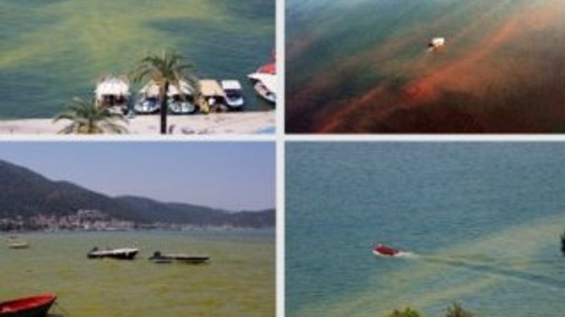 Fethiye Belediyesi körfezde yaşanan krize çözüm bulamadı