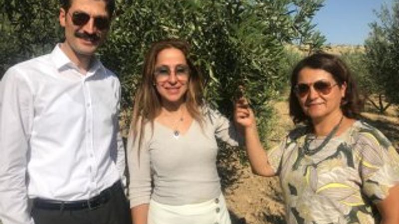 Mardin Derik zeytinyağı dünyanın en iyisi seçildi