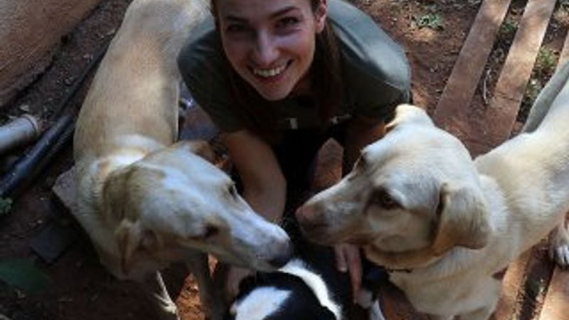 Sokak hayvanlarının koruyucu meleği 'Hollandalı gelin'