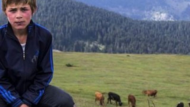 Eren Bülbül'ün katilleri bir bir etkisiz hale getirildi