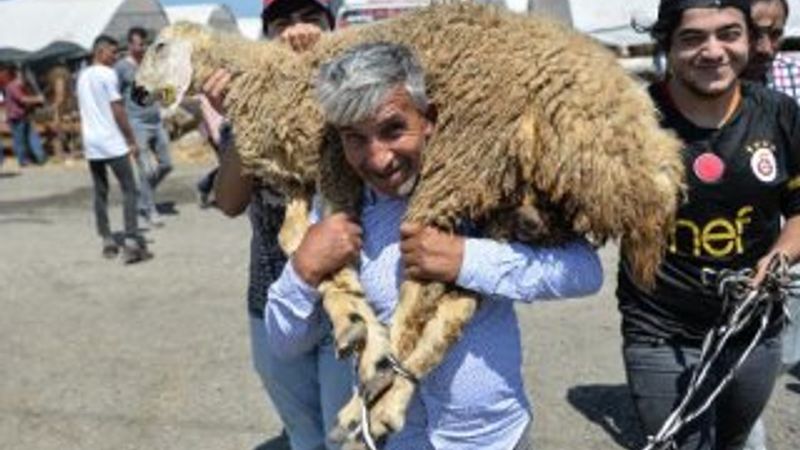 Hayvan pazarında arife günü hareketliliği