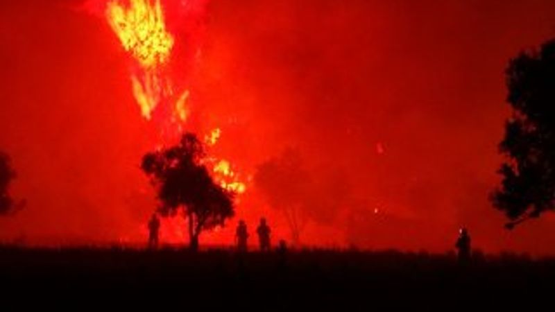 Tarihi Gelibolu yarımadasında orman yangını