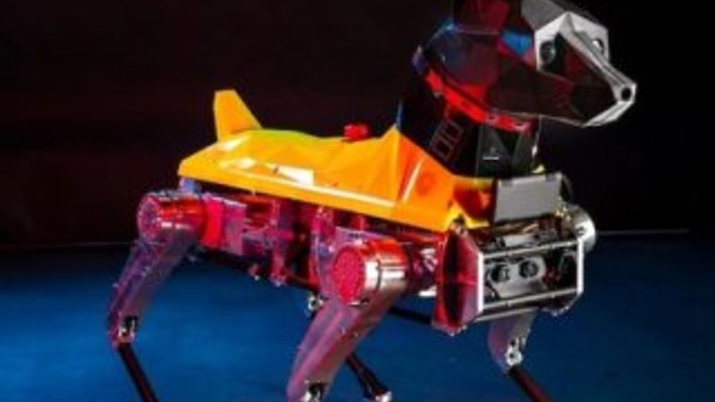Komutları yerine getirebilen robot köpek: Astro