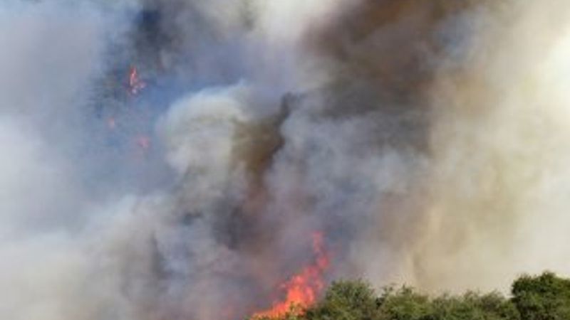 İzmir'de 500 hektar orman yandı