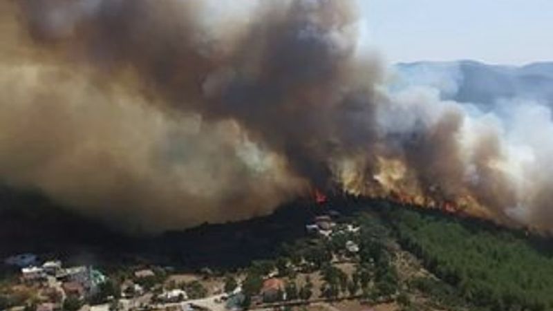Yanan ormanlar imara açılmayacak