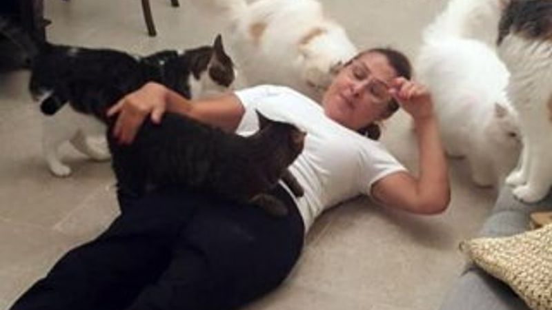 Nilüfer'in kedileri