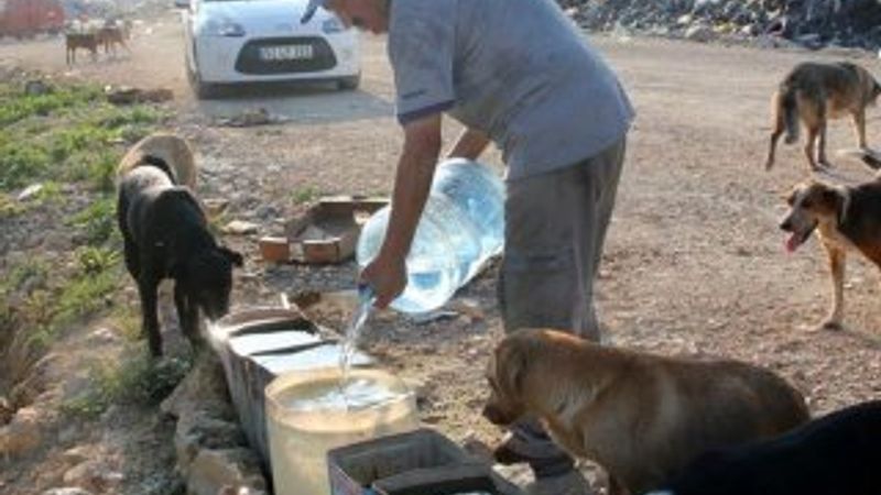 Sokak hayvanları için 11 yıldır su taşıyor