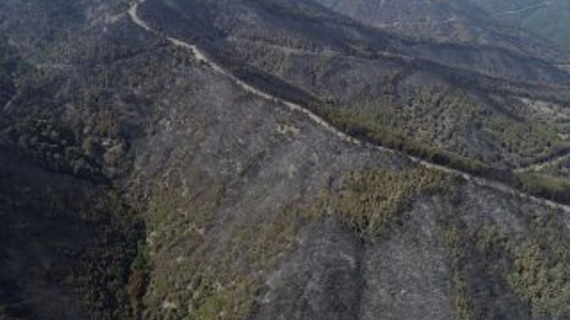 Tunç Soyer'e göre İzmir'de yanan alan daha büyük