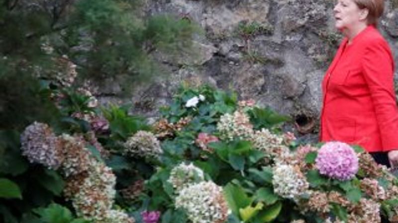 Merkel: Amazon ormanlarına yardım edeceğiz