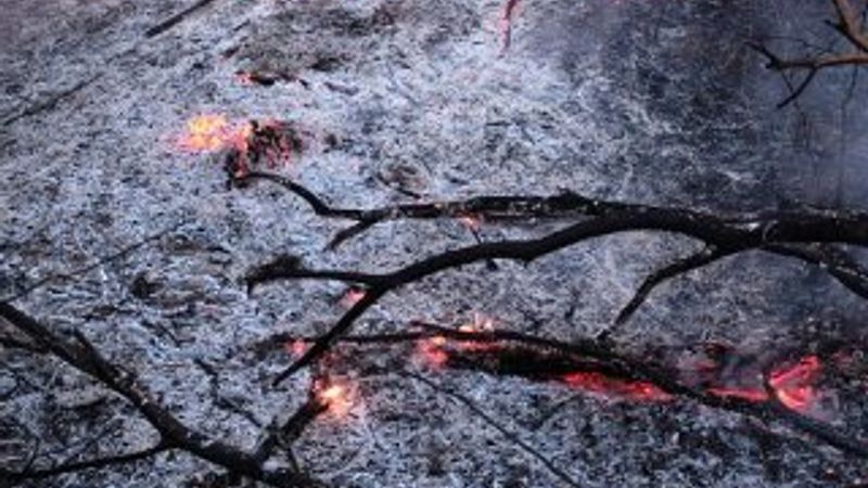 Brezilya Amazonlar'daki yangına yardım etmeyi reddeti