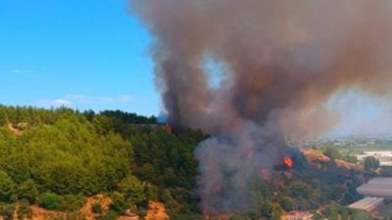 Orman yangınları için 4 bin 996 personel alınacak