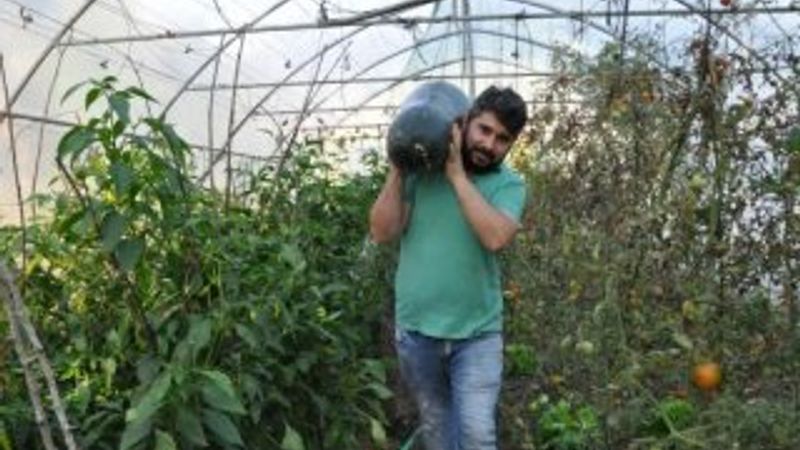 Bahçesine ektiği Çin salatalığı 1 metreye ulaştı