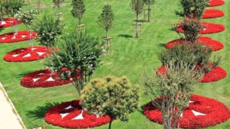 İBB'de Ağaç ve Peyzaj AŞ'nin başına Ali Sukas getirildi