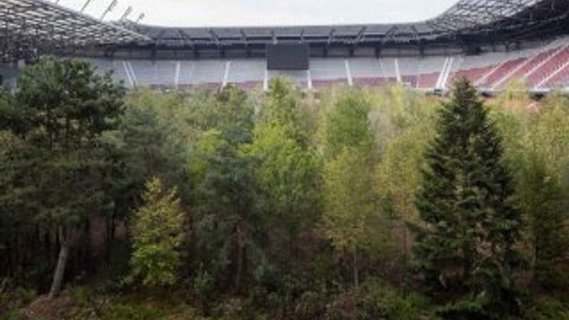 İklim değişikliğine dikkat çekmek için stada 300 ağaç