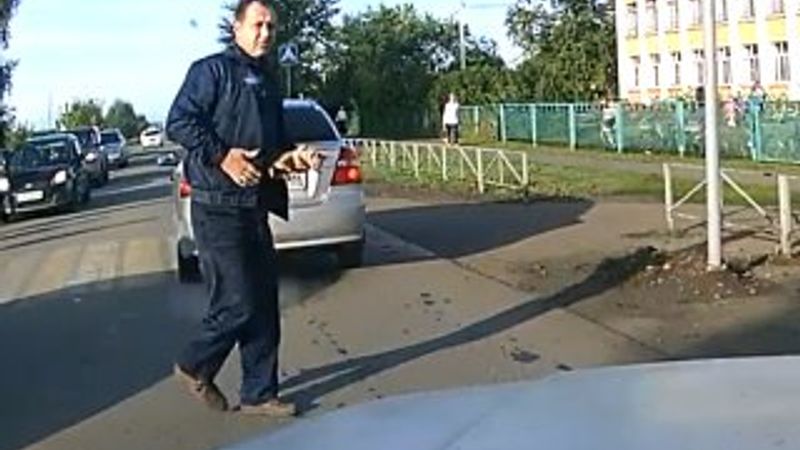 Yavru kediyi görmeyen Rus sürücü kediyi eziyordu