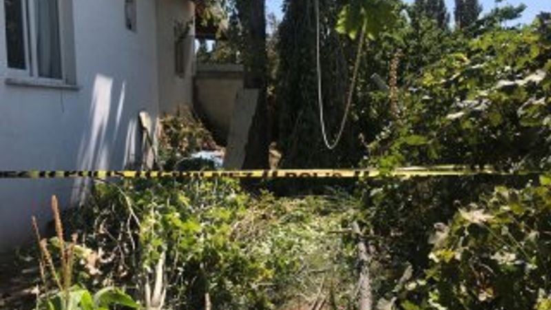 Kestiği kavak ağacının dallarına başı sıkışan kişi öldü