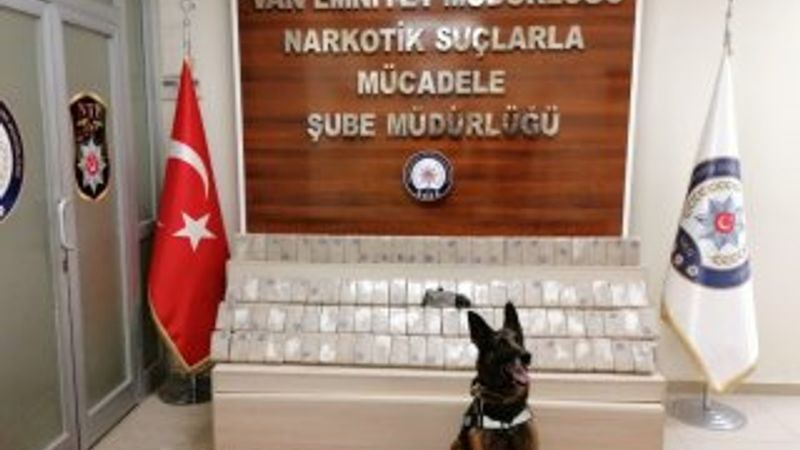 Narkotik köpeği 'Kara' 50 kilo eroin buldu