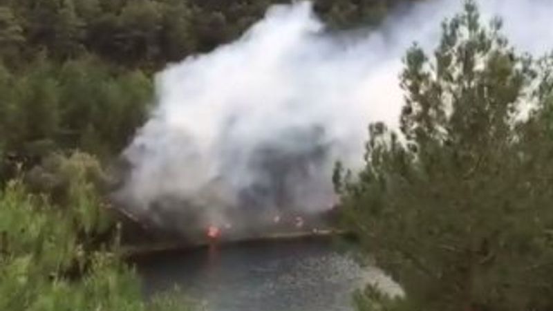 Bafra'da piknikçiler orman yangınına sebep oldu