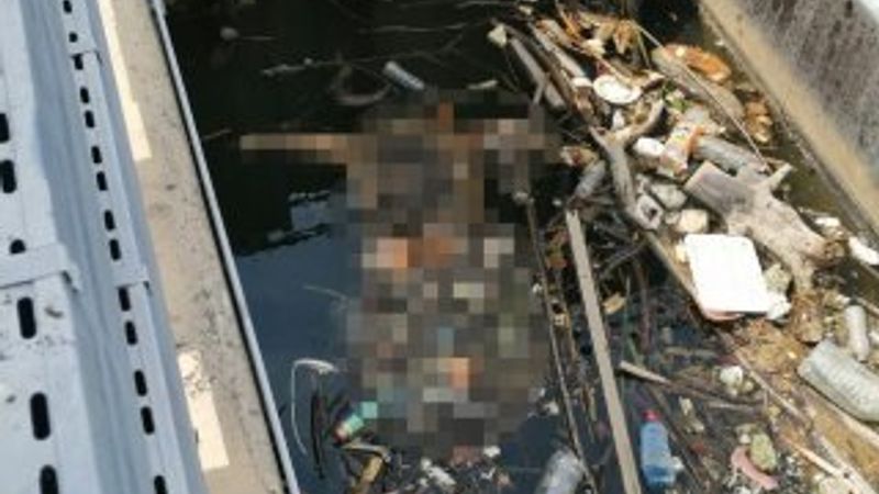 HES barajında kadın cesedi bulundu