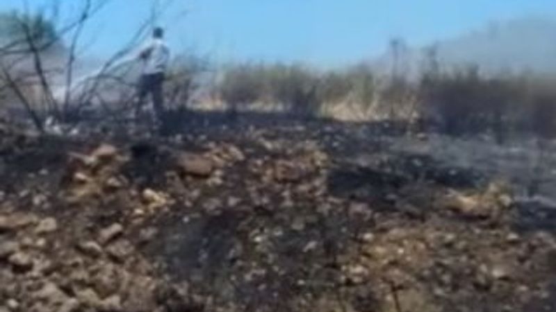 Samandağ’da zeytinlik alanda yangın