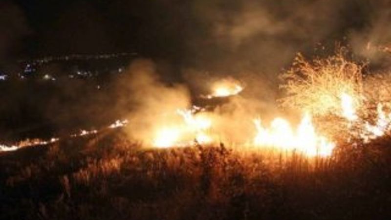 Tekirdağ'da 200 dönümlük orman kül oldu