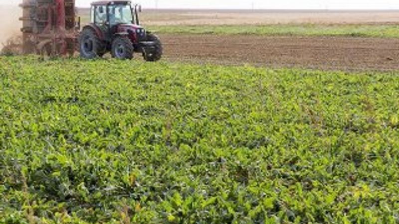 123 bin 304 üreticiye tarım destek ödemesi yapılacak