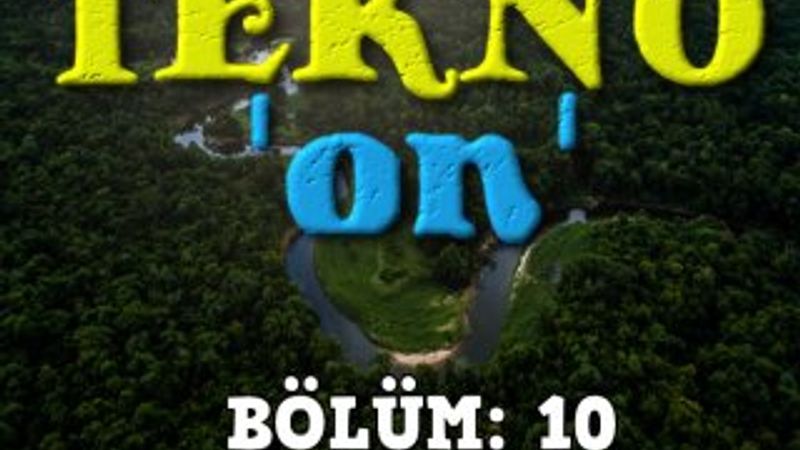 Amazon Ormanları yok olduğunda, Dünya'da gerçekleşecek 10 şey