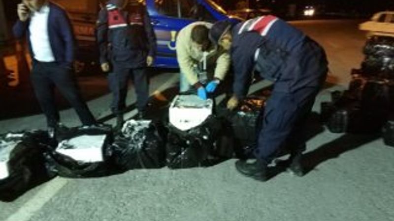 Ankara'da 1,5 ton kaçak balık ele geçirildi