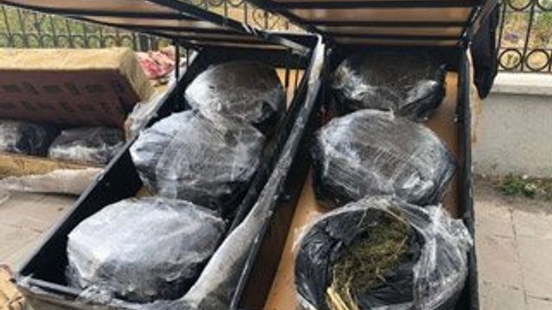 Kanepelerin içinde 105 kilogram esrar bulundu