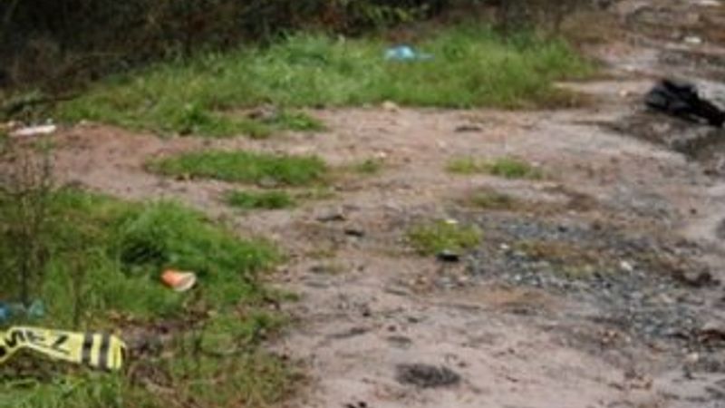 Ormanda belden yukarısı olmayan kadın cesedi bulundu