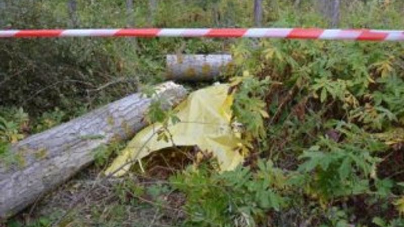 Kestiği ağacın altında kalarak öldü