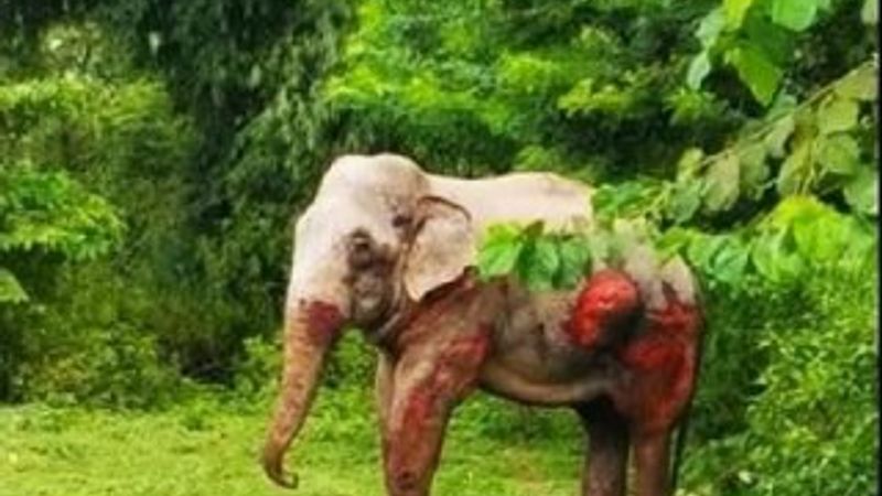 Hindistan’da tren file çarptı