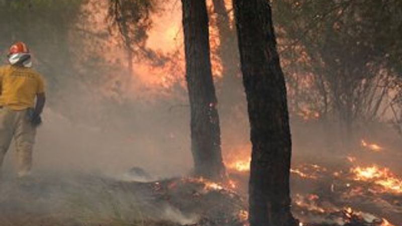 2019'da  5 bin 469 hektar alan yandı