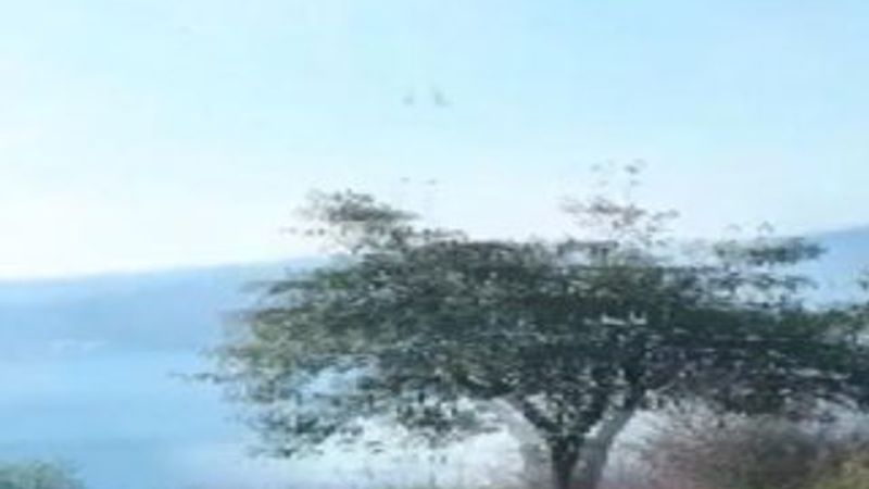 Beykoz'da 3 ayrı yerde çıkan yangın söndürüldü