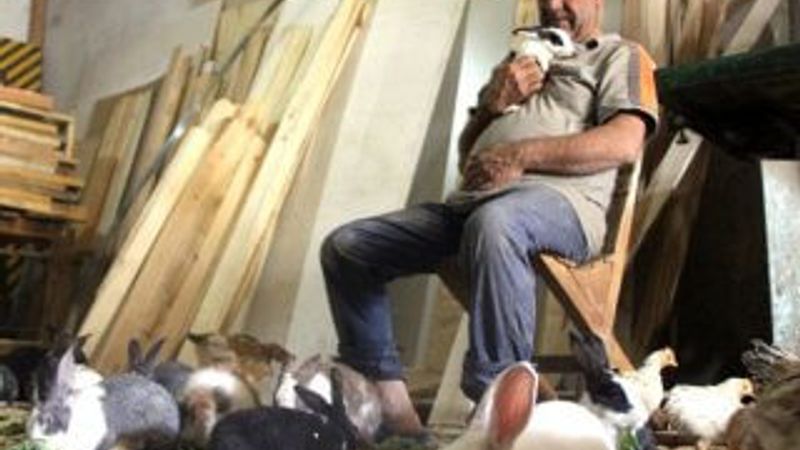 Marangozun tavşan sevgisi