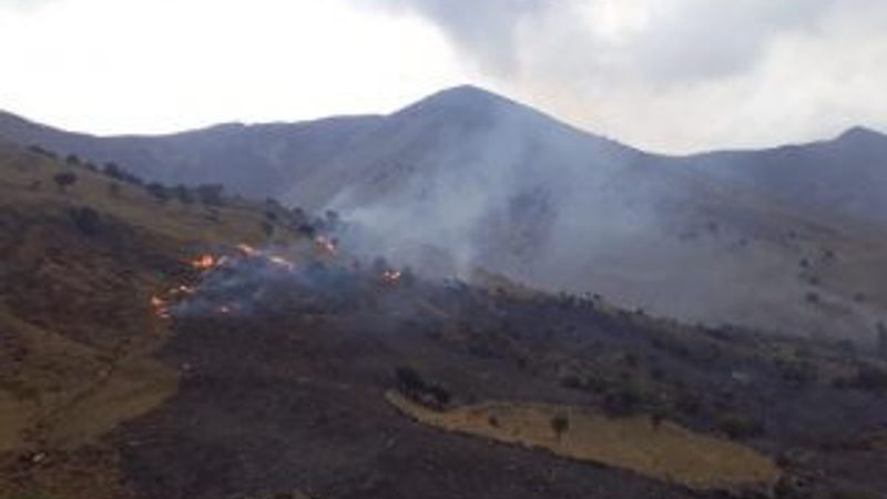 Gökçeada'da 30 hektarlık otluk alan yanarak kül oldu