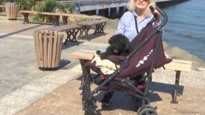 Yaşlı ve hasta köpeğine 'bebek' gibi bakıyor