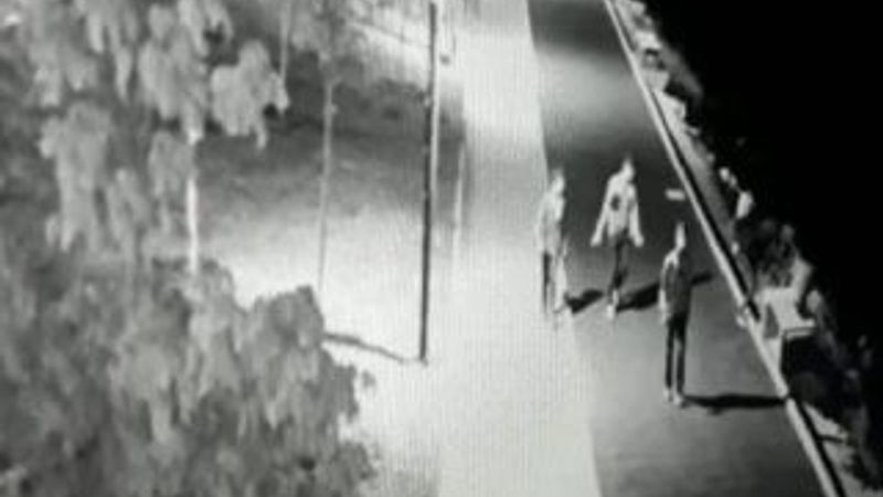 Van'da çöp kutularını kırıp göle attılar