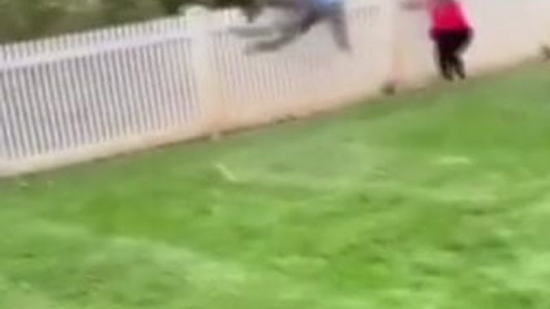 Genç çift bebeklerinin cinsiyetini öğrenemedi