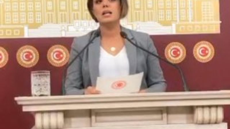 HDP, Barış Pınarı Harekatı yalanlarına devam ediyor