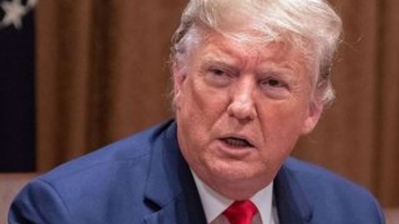 Trump'tan Barış Pınarı Harekatı için yeni saçma açıklama