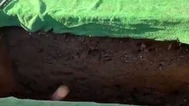 İrlanda'da ilginç cenaze töreni