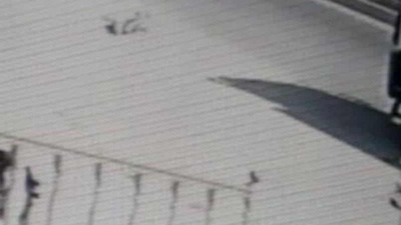 Dondurma almaya giden sürücü canından oluyordu