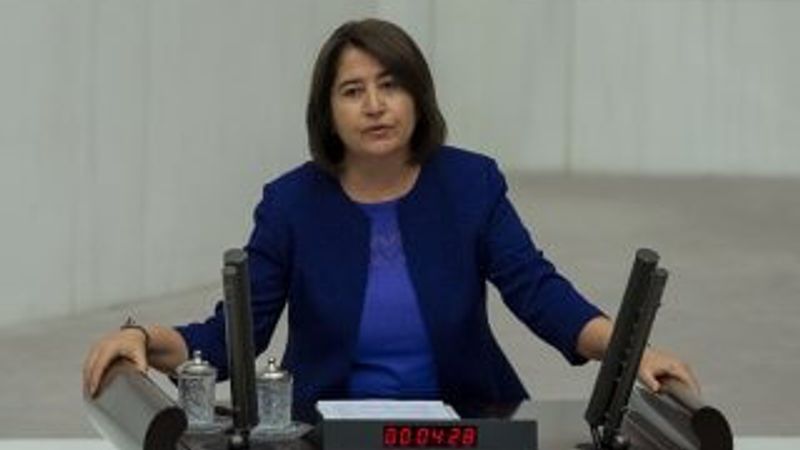 Türk askerine 'işgalci' diyen HDP'liye ABD-Rusya cevabı