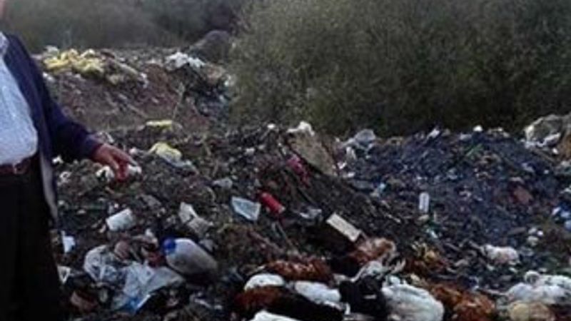 Yaşlı adamın tavukları köpekler tarafından telef edildi