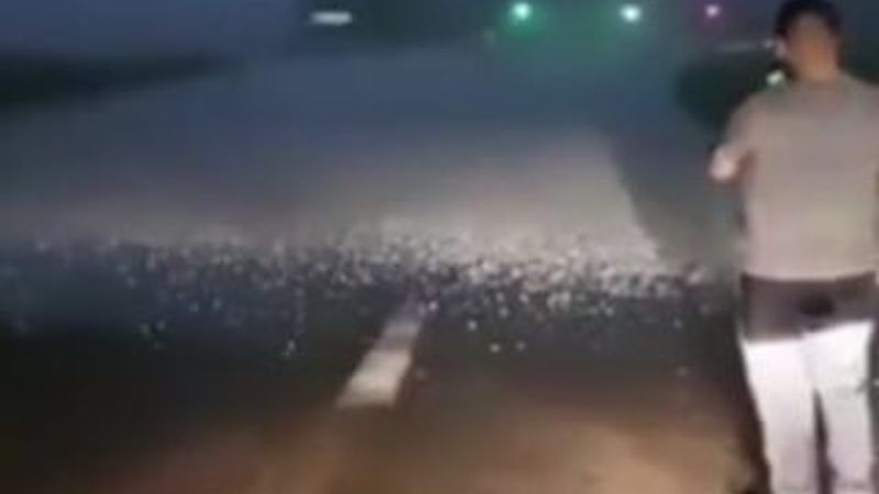 Meksika'da ilginç dolu yağışı