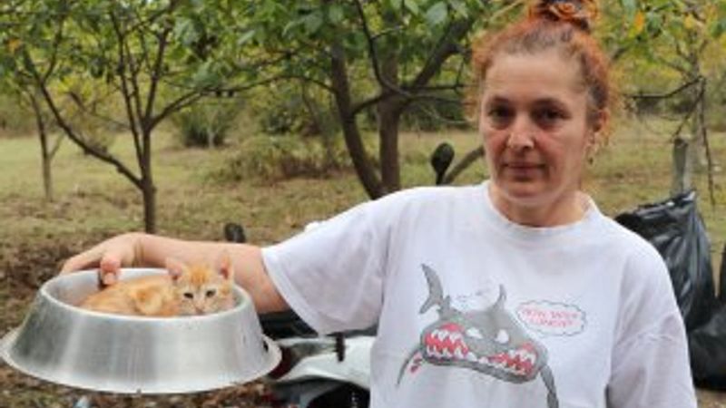 Samsun'da hayvanların kraliçesi 150 hayvana bakıyor