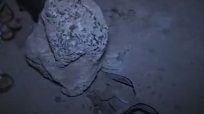 Fas'ta ilginç doğum günü partisi