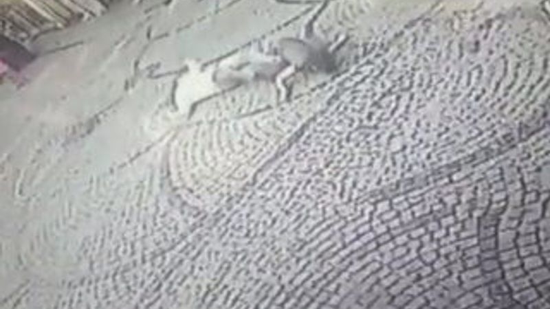 İstanbul'da intihar eden kadını tutmaya çalıştı