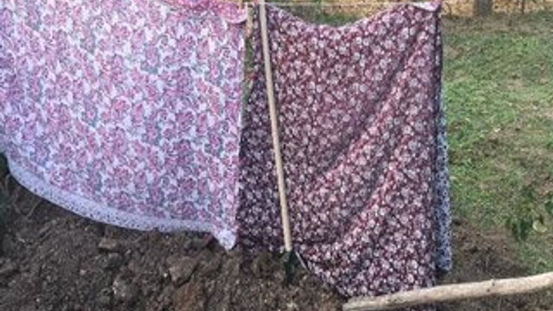 Annelerinin bahçesini çarşafla kapatıp define aradılar